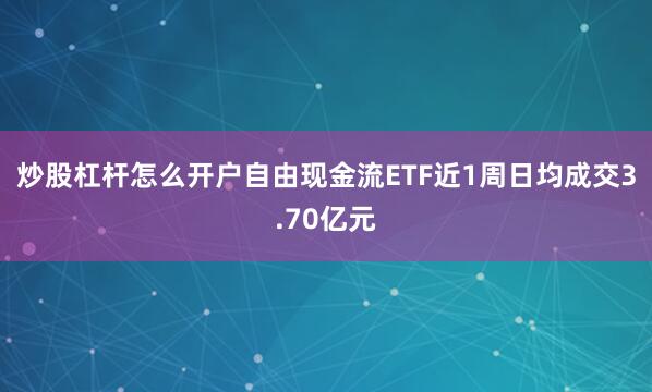 炒股杠杆怎么开户自由现金流ETF近1周日均成交3.70亿元