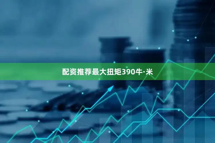 配资推荐最大扭矩390牛·米