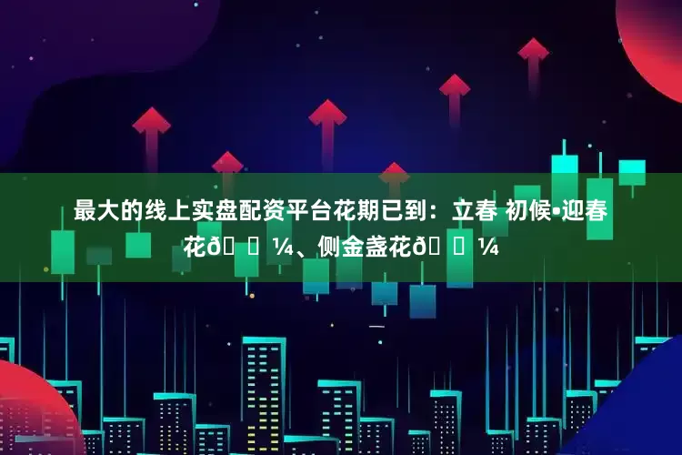 最大的线上实盘配资平台花期已到：立春 初候•迎春花🌼、侧金盏花🌼