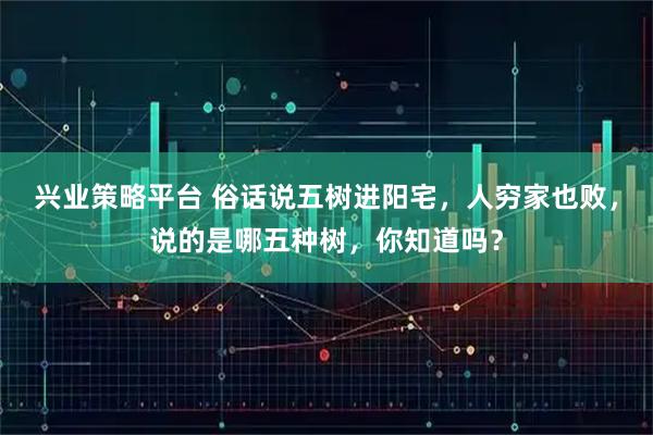 兴业策略平台 俗话说五树进阳宅，人穷家也败，说的是哪五种树，你知道吗？