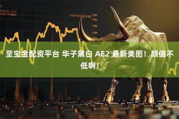 至宝金配资平台 华子黑白 AE2 最新美图！颜值不低啊！